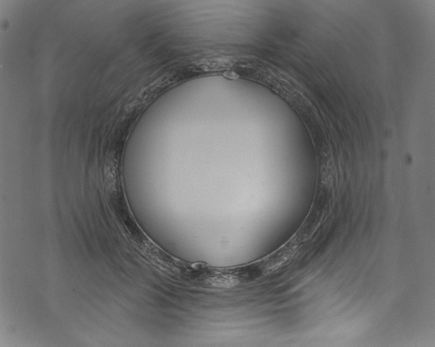 X0000073970604200609181453