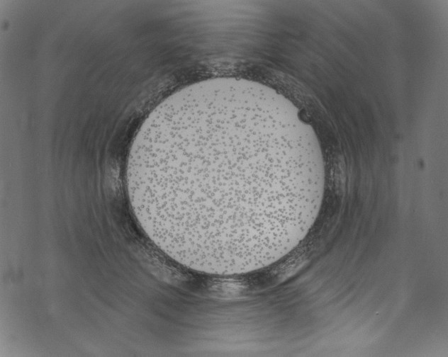X0000073970610200609181453