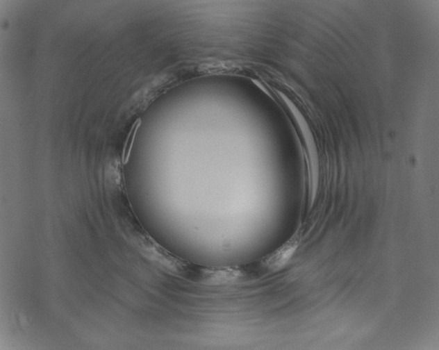 X0000073970621200609181453