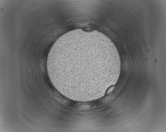 X0000073970658200609181452