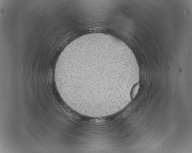X0000073970660200609181453