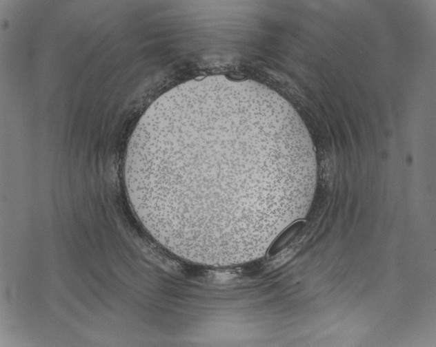 X0000073970662200609181453