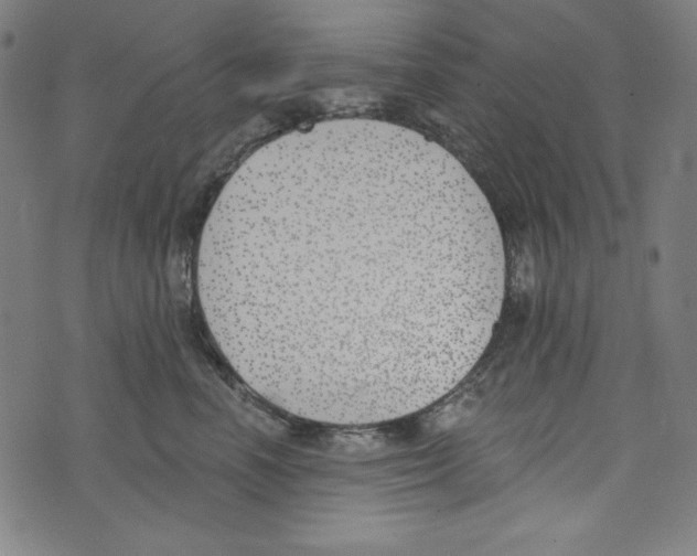 X0000073970666200609181453