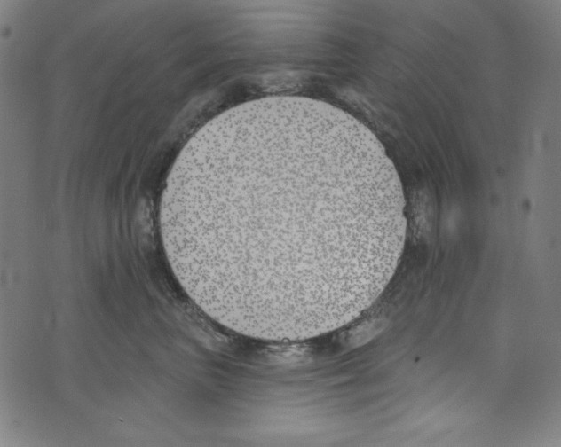 X0000073970667200609181453