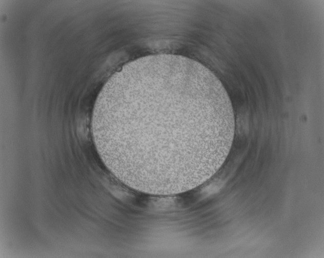 X0000073970671200609181453
