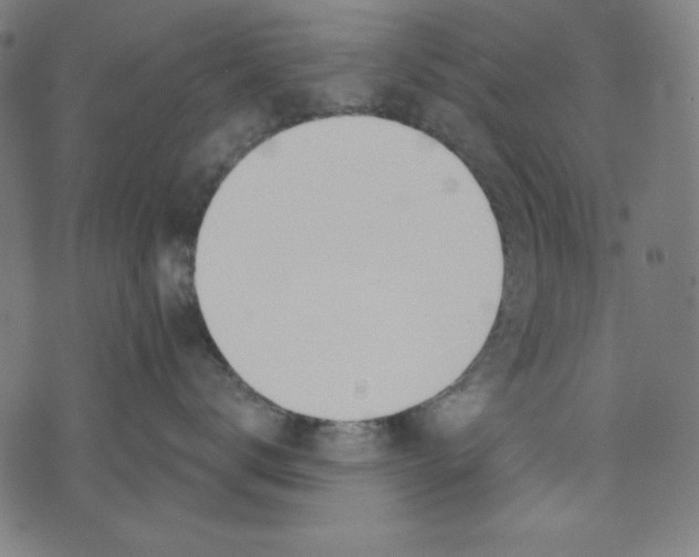 X0000073970672200609181453