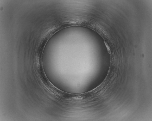 X0000073970692200609181452