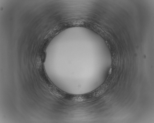 X0000073970704200609181451