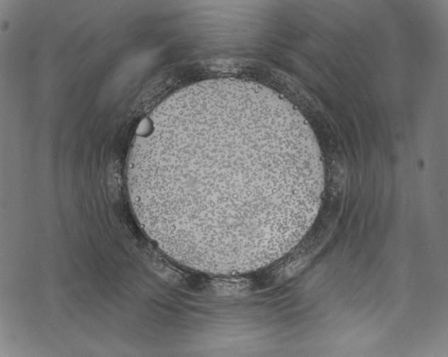 X0000073970707200609181451