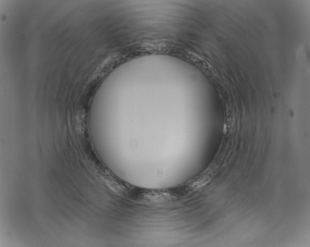 X0000073970712200609181451