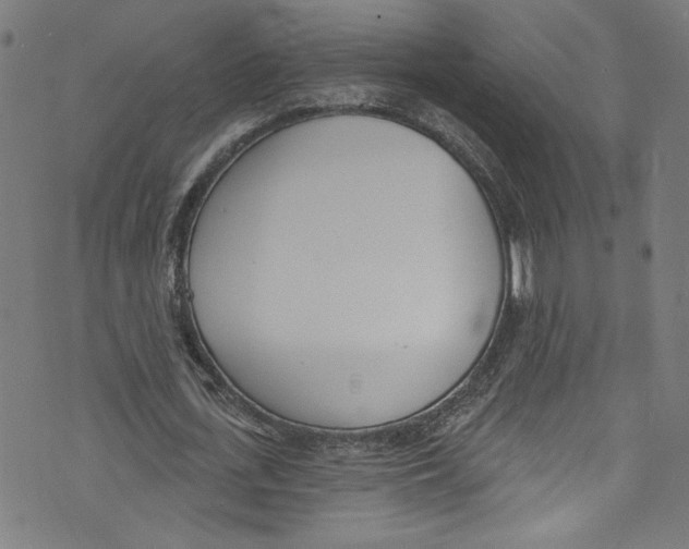 X0000073970723200609181450