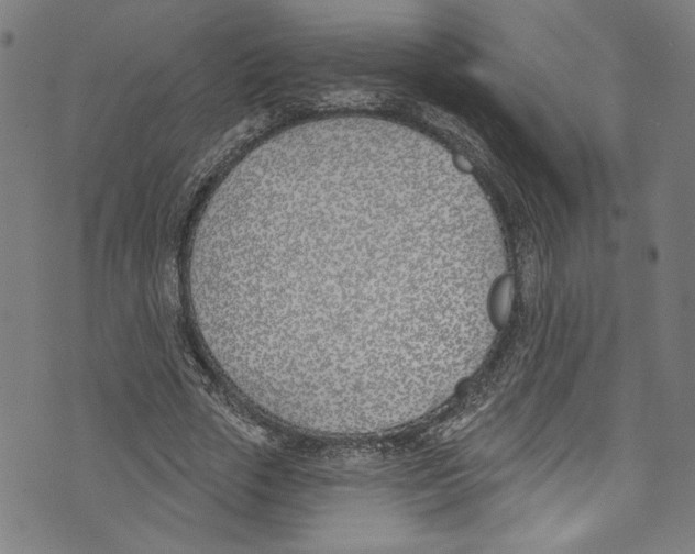 X0000073970729200609181450