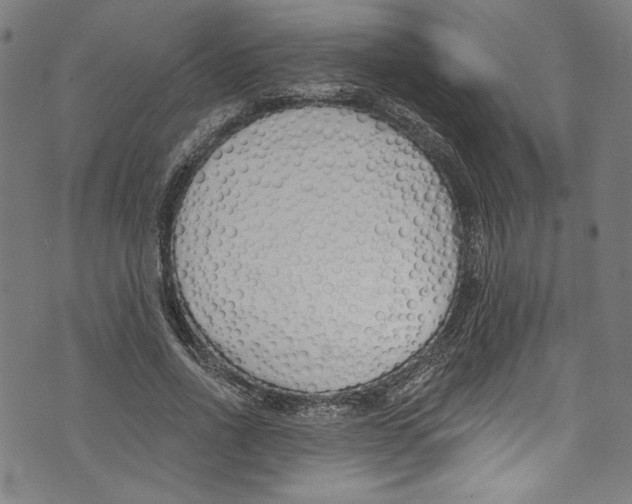 X0000073970734200609181451