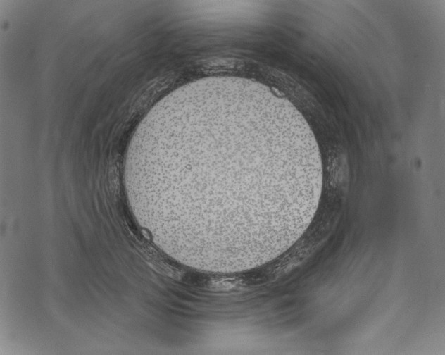 X0000073970753200609181451