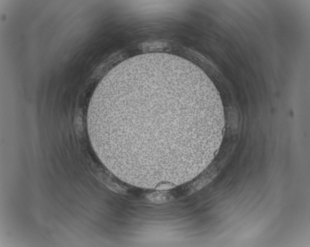 X0000073970761200609181451
