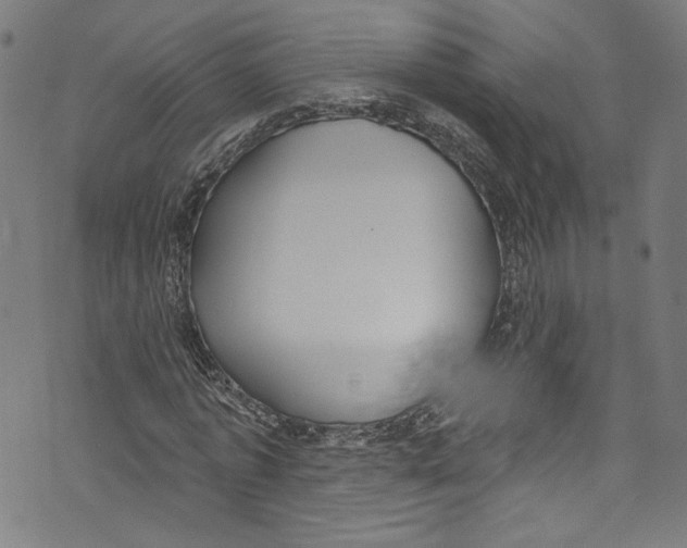 X0000073970773200609181450