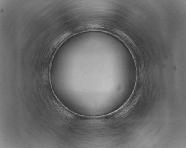 X0000073970785200609181450