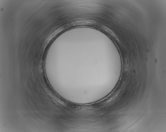 X0000073970786200609181450
