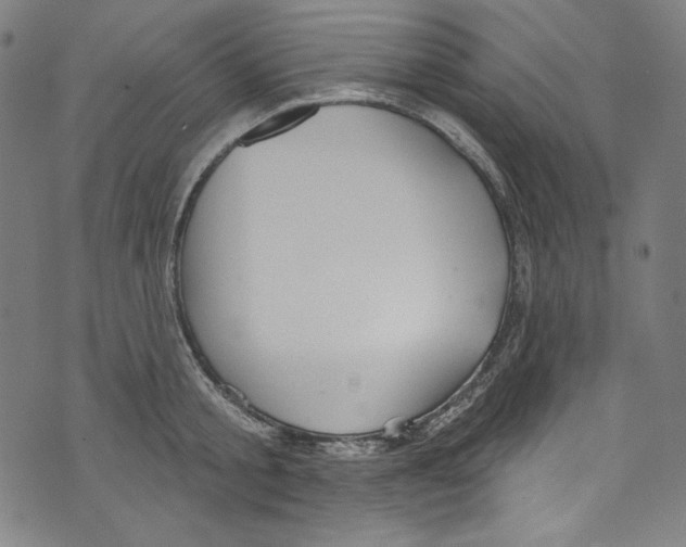 X0000073970805200609181450