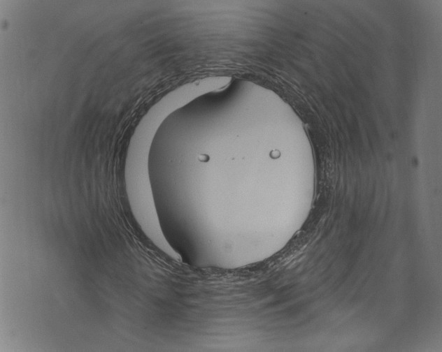 X0000073970818200609181449