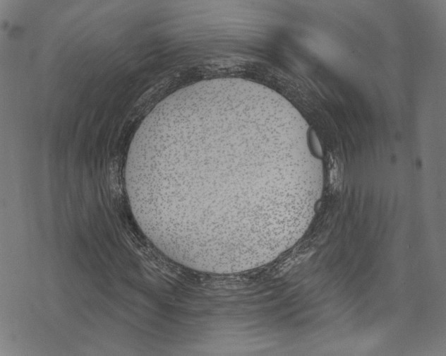 X0000073970819200609181449