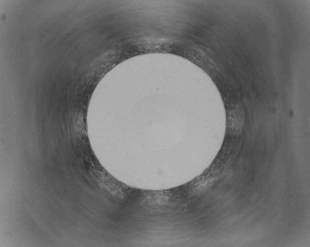 X0000073970820200609181449