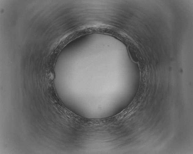 X0000073970822200609181449