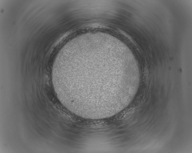 X0000073970823200609181449