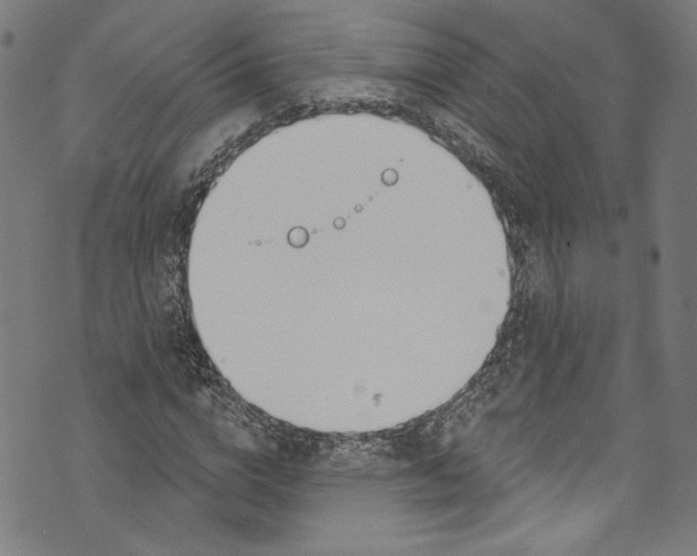 X0000073970824200609181449