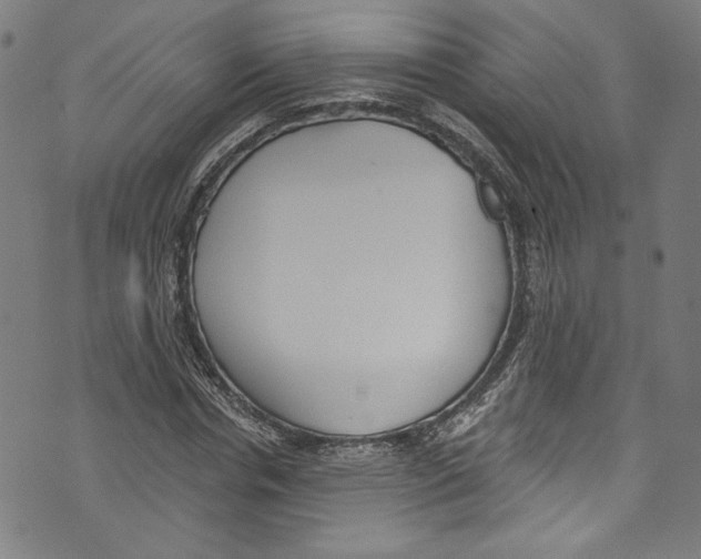 X0000073970826200609181449