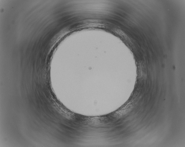 X0000073970828200609181449