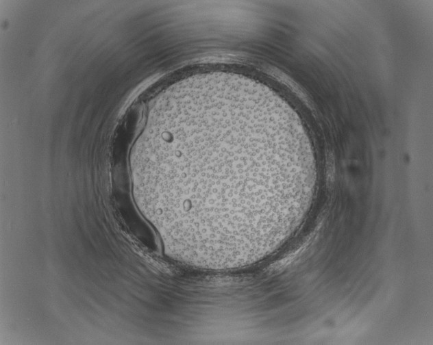 X0000073970829200609181449