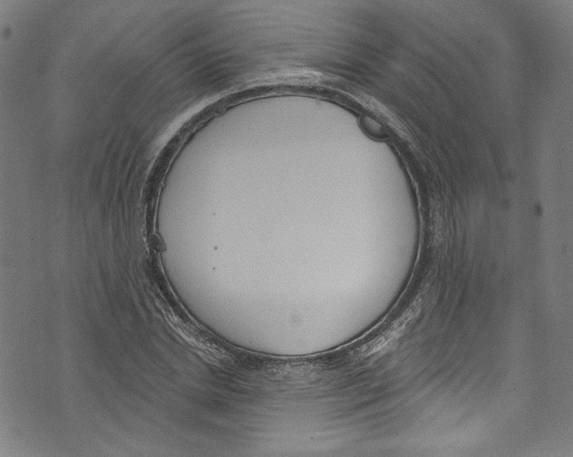 X0000073970830200609181449