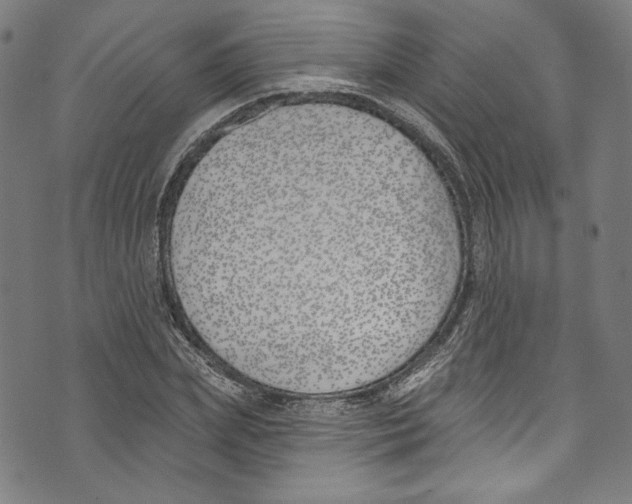 X0000073970831200609181449
