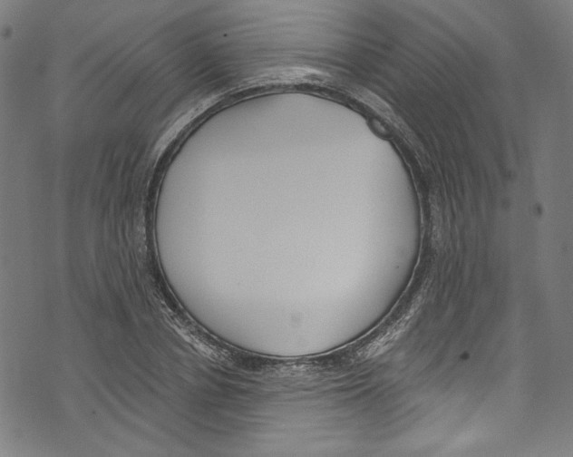 X0000073970834200609181449