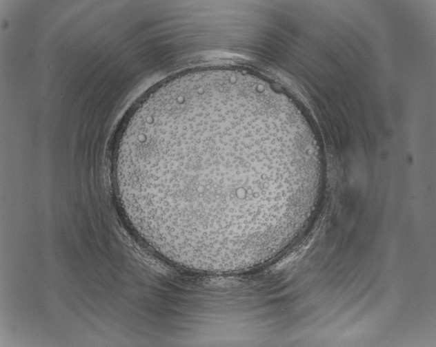 X0000073970835200609181449