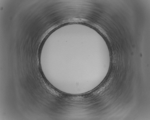 X0000073970837200609181449