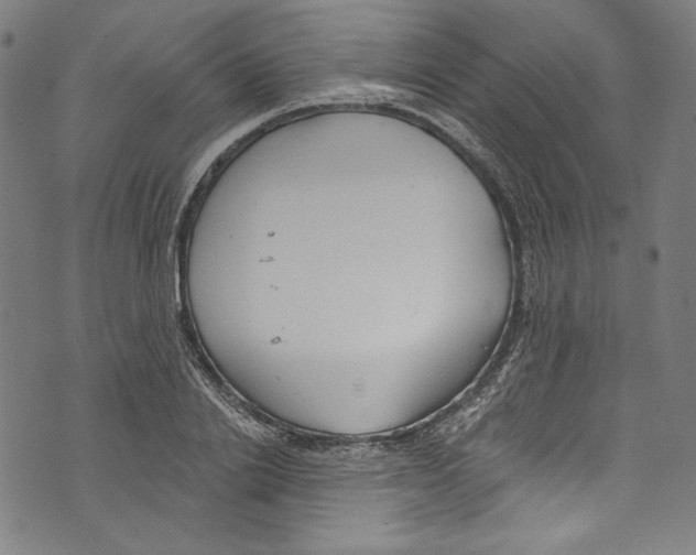 X0000073970838200609181449