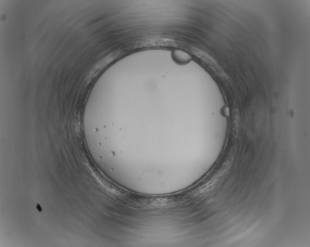 X0000073970841200609181449