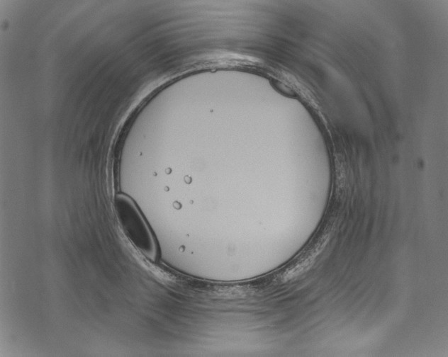 X0000073970843200609181449