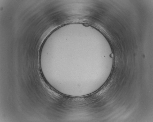 X0000073970844200609181449