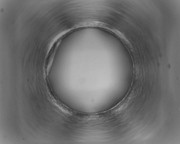 X0000073970846200609181449