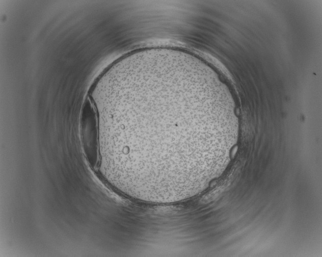 X0000073970847200609181449