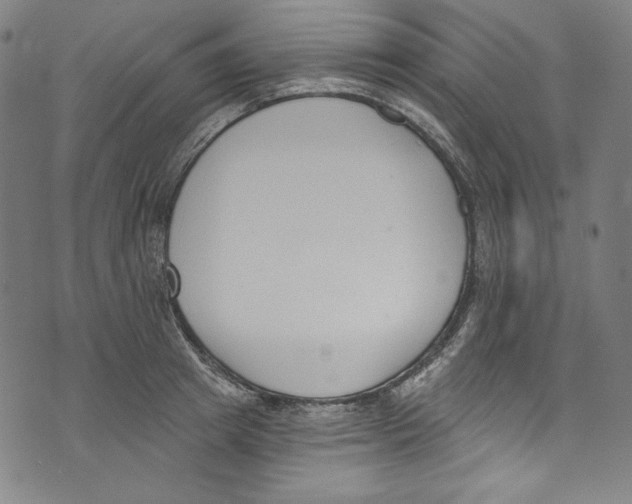 X0000073970849200609181449