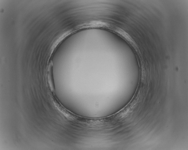 X0000073970850200609181449