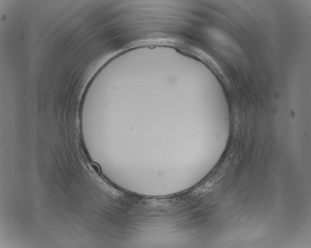 X0000073970852200609181449