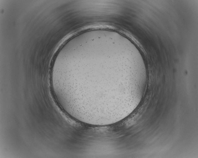 X0000073970853200609181449