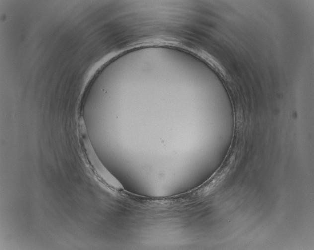 X0000073970854200609181449