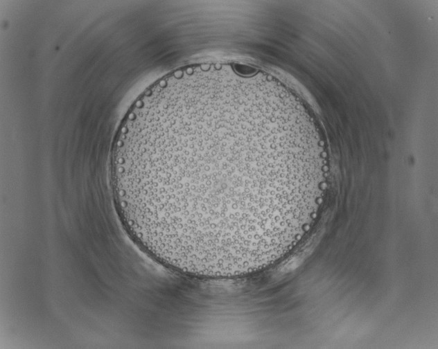 X0000073970855200609181449