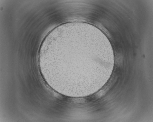 X0000073970856200609181449